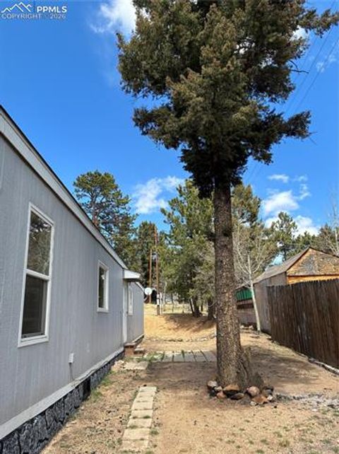 Tiny photo for 169 Daisy Street, Woodland Park, CO 80863 (MLS # 1251036)