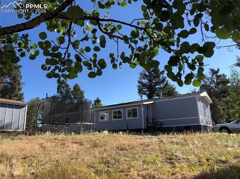 Tiny photo for 169 Daisy Street, Woodland Park, CO 80863 (MLS # 1251036)