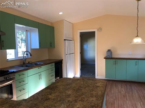 Tiny photo for 169 Daisy Street, Woodland Park, CO 80863 (MLS # 1251036)