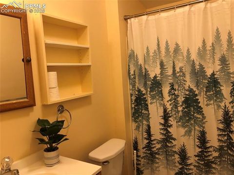 Tiny photo for 169 Daisy Street, Woodland Park, CO 80863 (MLS # 1251036)