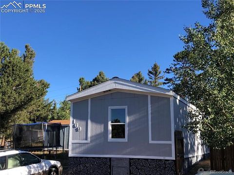 Tiny photo for 169 Daisy Street, Woodland Park, CO 80863 (MLS # 1251036)