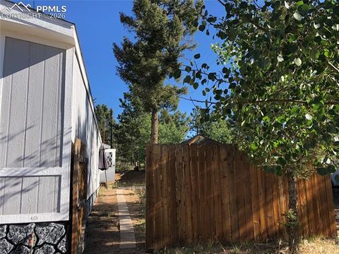 Tiny photo for 169 Daisy Street, Woodland Park, CO 80863 (MLS # 1251036)
