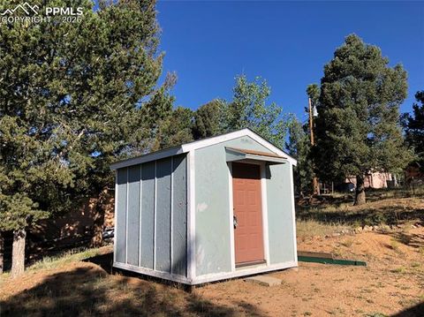 Tiny photo for 169 Daisy Street, Woodland Park, CO 80863 (MLS # 1251036)