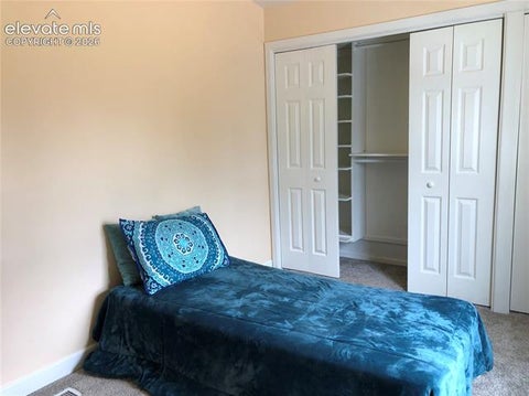 Tiny photo for 169 Daisy Street, Woodland Park, CO 80863 (MLS # 1251036)