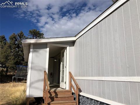 Tiny photo for 169 Daisy Street, Woodland Park, CO 80863 (MLS # 1251036)