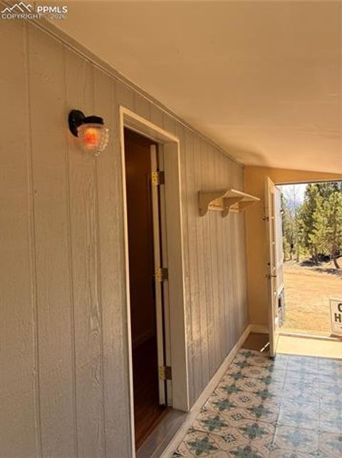 Tiny photo for 169 Daisy Street, Woodland Park, CO 80863 (MLS # 1251036)