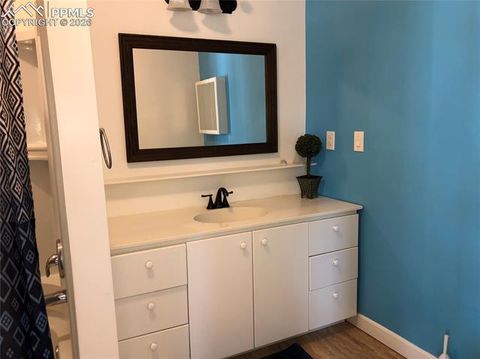 Tiny photo for 169 Daisy Street, Woodland Park, CO 80863 (MLS # 1251036)