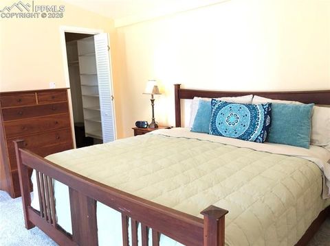 Tiny photo for 169 Daisy Street, Woodland Park, CO 80863 (MLS # 1251036)