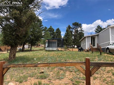 Photo of 169 Daisy Street, Woodland Park, CO 80863 (MLS # 1251036)