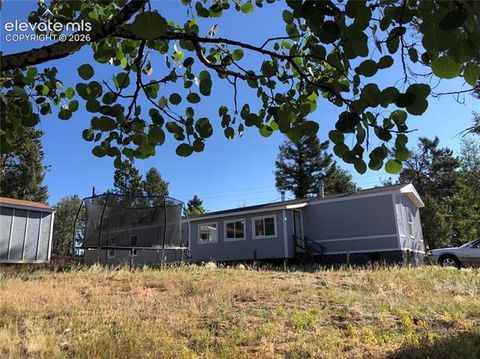 Tiny photo for 169 Daisy Street, Woodland Park, CO 80863 (MLS # 1251036)