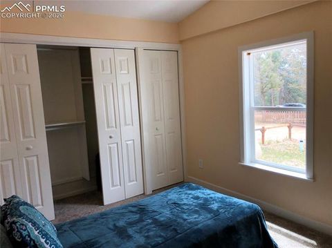 Tiny photo for 169 Daisy Street, Woodland Park, CO 80863 (MLS # 1251036)