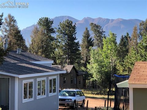 Tiny photo for 169 Daisy Street, Woodland Park, CO 80863 (MLS # 1251036)