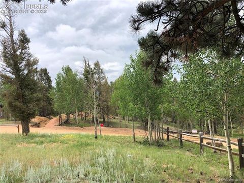 Tiny photo for 169 Daisy Street, Woodland Park, CO 80863 (MLS # 1251036)