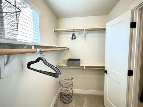 Tiny photo for 6156 Steele Creek Way, Colorado Springs, CO 80922 (MLS # 3671843)