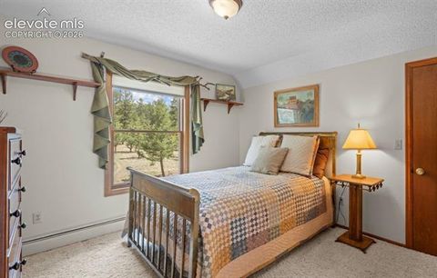 Tiny photo for 370 High View Circle, Woodland Park, CO 80863 (MLS # 2872948)