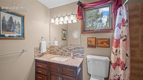 Tiny photo for 370 High View Circle, Woodland Park, CO 80863 (MLS # 2872948)