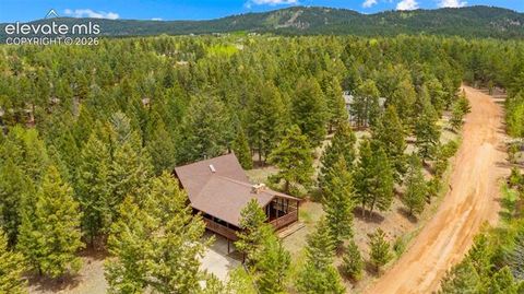 Tiny photo for 370 High View Circle, Woodland Park, CO 80863 (MLS # 2872948)