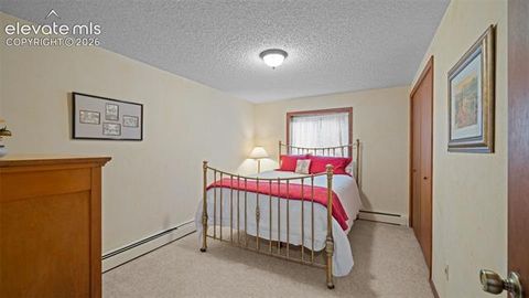 Tiny photo for 370 High View Circle, Woodland Park, CO 80863 (MLS # 2872948)