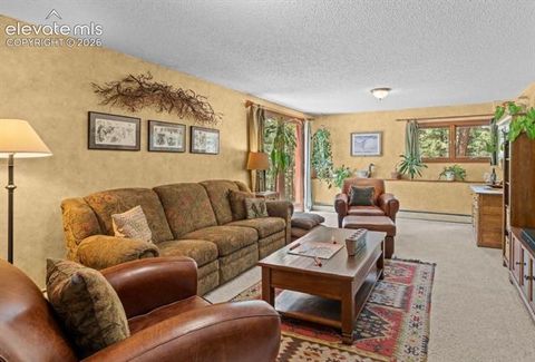 Tiny photo for 370 High View Circle, Woodland Park, CO 80863 (MLS # 2872948)
