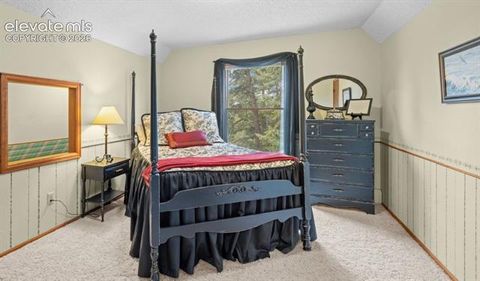 Tiny photo for 370 High View Circle, Woodland Park, CO 80863 (MLS # 2872948)