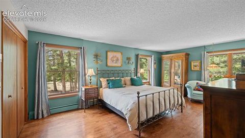 Tiny photo for 370 High View Circle, Woodland Park, CO 80863 (MLS # 2872948)