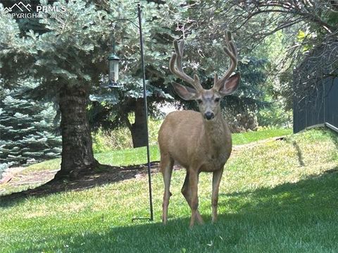 Tiny photo for 3565 Masters Drive, Colorado Springs, CO 80907 (MLS # 1173518)