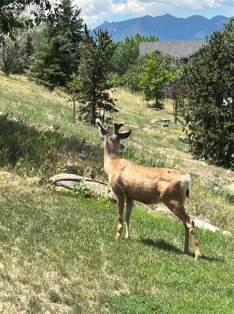 Tiny photo for 3565 Masters Drive, Colorado Springs, CO 80907 (MLS # 1173518)