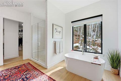 Tiny photo for 1005 Locklin Way, Woodland Park, CO 80863 (MLS # 8380998)