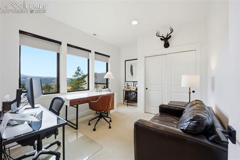 Tiny photo for 1005 Locklin Way, Woodland Park, CO 80863 (MLS # 8380998)