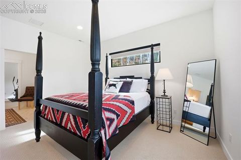 Tiny photo for 1005 Locklin Way, Woodland Park, CO 80863 (MLS # 8380998)