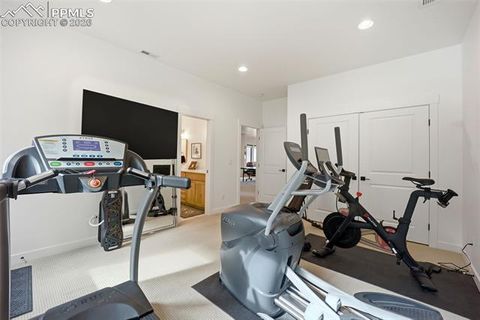 Tiny photo for 1005 Locklin Way, Woodland Park, CO 80863 (MLS # 8380998)