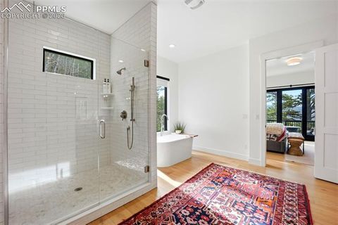 Tiny photo for 1005 Locklin Way, Woodland Park, CO 80863 (MLS # 8380998)