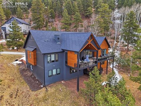 Tiny photo for 1005 Locklin Way, Woodland Park, CO 80863 (MLS # 8380998)