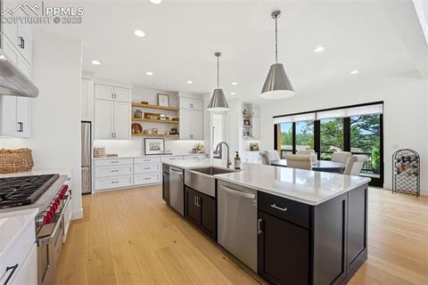 Tiny photo for 1005 Locklin Way, Woodland Park, CO 80863 (MLS # 8380998)