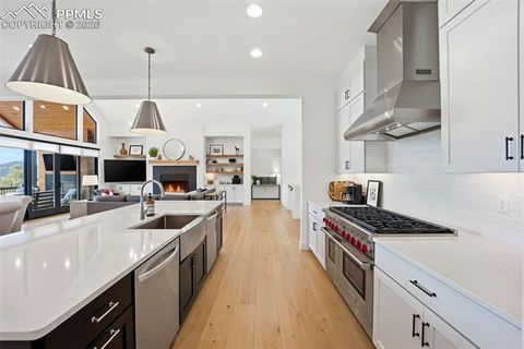 Tiny photo for 1005 Locklin Way, Woodland Park, CO 80863 (MLS # 8380998)