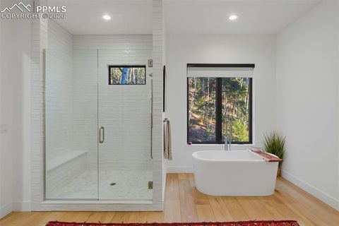 Tiny photo for 1005 Locklin Way, Woodland Park, CO 80863 (MLS # 8380998)