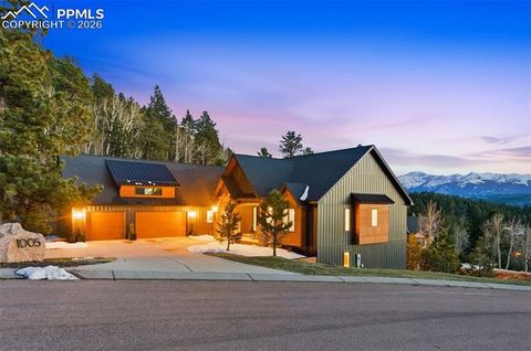 Photo of 1005 Locklin Way, Woodland Park, CO 80863 (MLS # 8380998)
