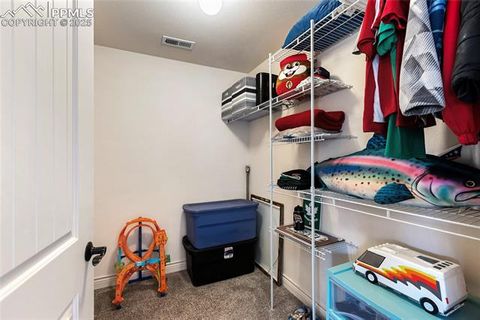 Tiny photo for 19 Worley Road, Divide, CO 80814 (MLS # 5104522)