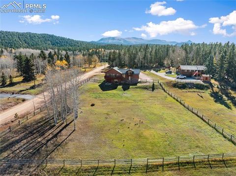 Tiny photo for 19 Worley Road, Divide, CO 80814 (MLS # 5104522)