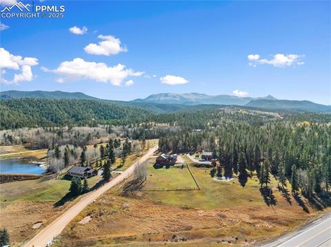 Tiny photo for 19 Worley Road, Divide, CO 80814 (MLS # 5104522)