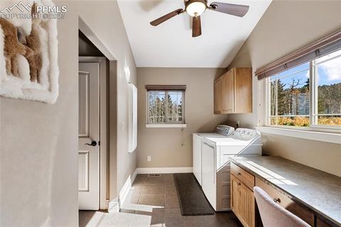 Tiny photo for 19 Worley Road, Divide, CO 80814 (MLS # 5104522)