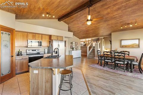 Tiny photo for 19 Worley Road, Divide, CO 80814 (MLS # 5104522)