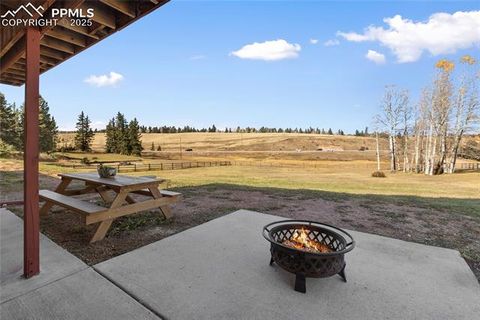 Tiny photo for 19 Worley Road, Divide, CO 80814 (MLS # 5104522)
