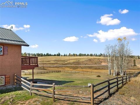 Tiny photo for 19 Worley Road, Divide, CO 80814 (MLS # 5104522)