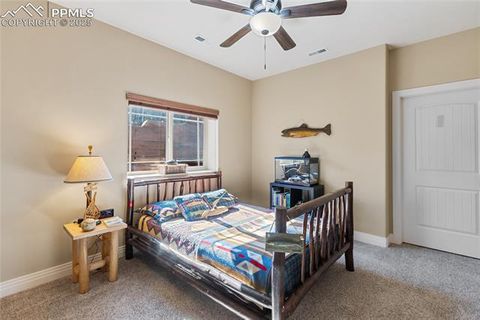 Tiny photo for 19 Worley Road, Divide, CO 80814 (MLS # 5104522)