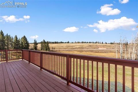 Tiny photo for 19 Worley Road, Divide, CO 80814 (MLS # 5104522)