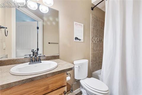 Tiny photo for 19 Worley Road, Divide, CO 80814 (MLS # 5104522)