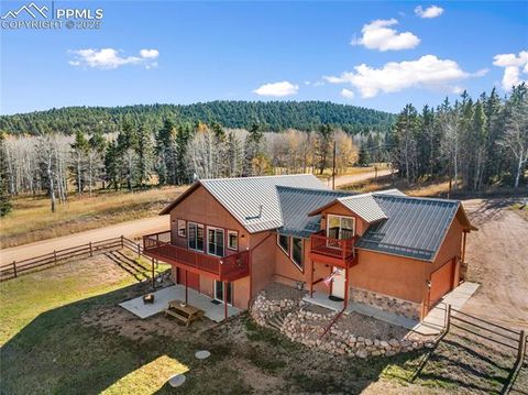 Tiny photo for 19 Worley Road, Divide, CO 80814 (MLS # 5104522)