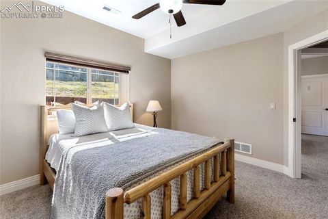 Tiny photo for 19 Worley Road, Divide, CO 80814 (MLS # 5104522)