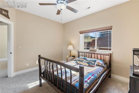Tiny photo for 19 Worley Road, Divide, CO 80814 (MLS # 5104522)